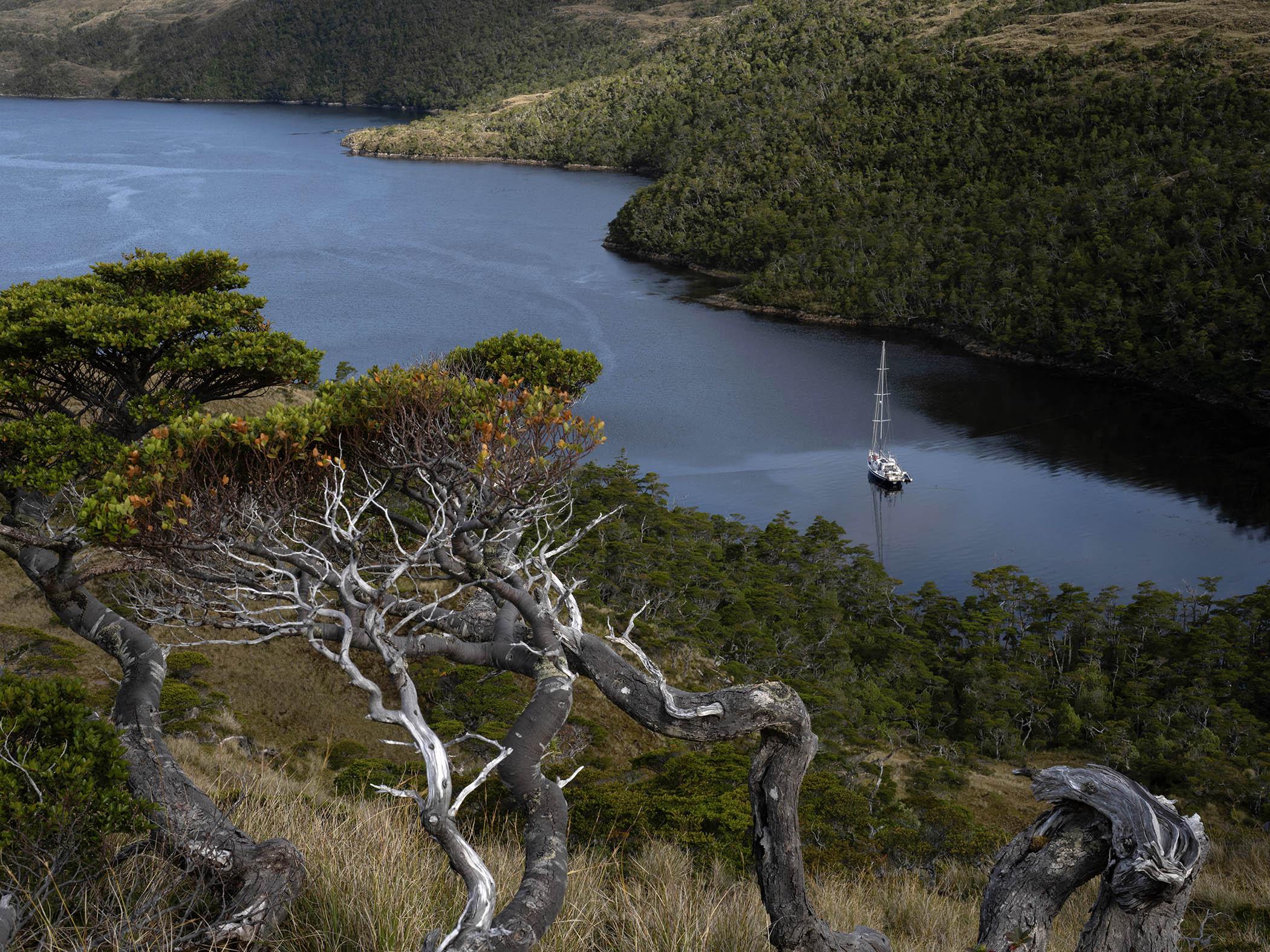 Into the Black: Diving in Patagonia