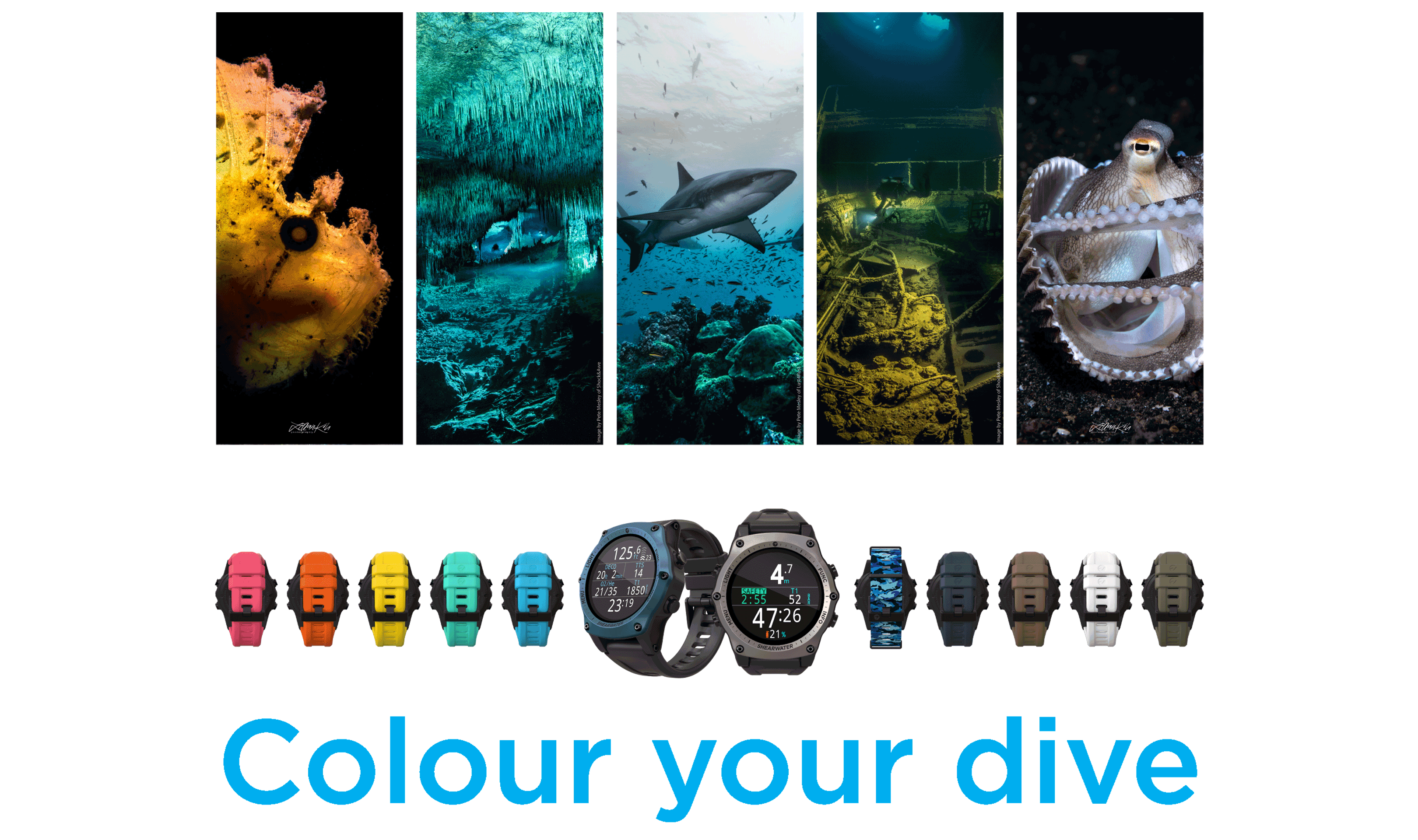 Colour Your Dive with New Teric Bezel and Wrist Strap Colours