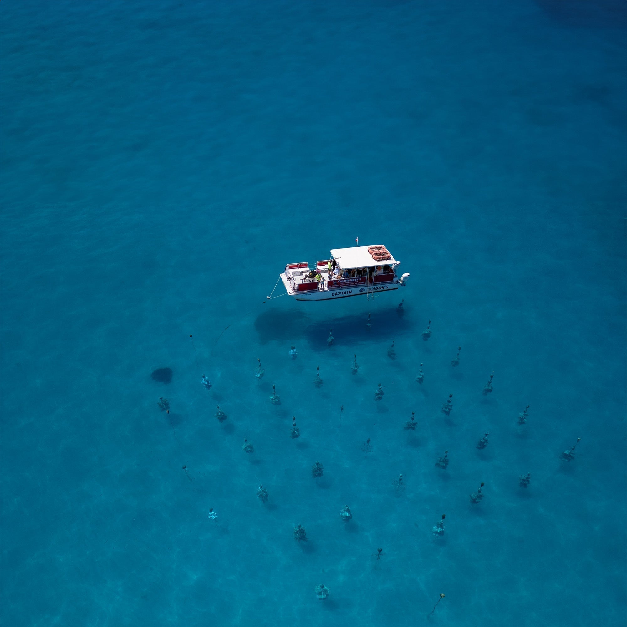 Reef Renewal: Purpose-Built Nurseries