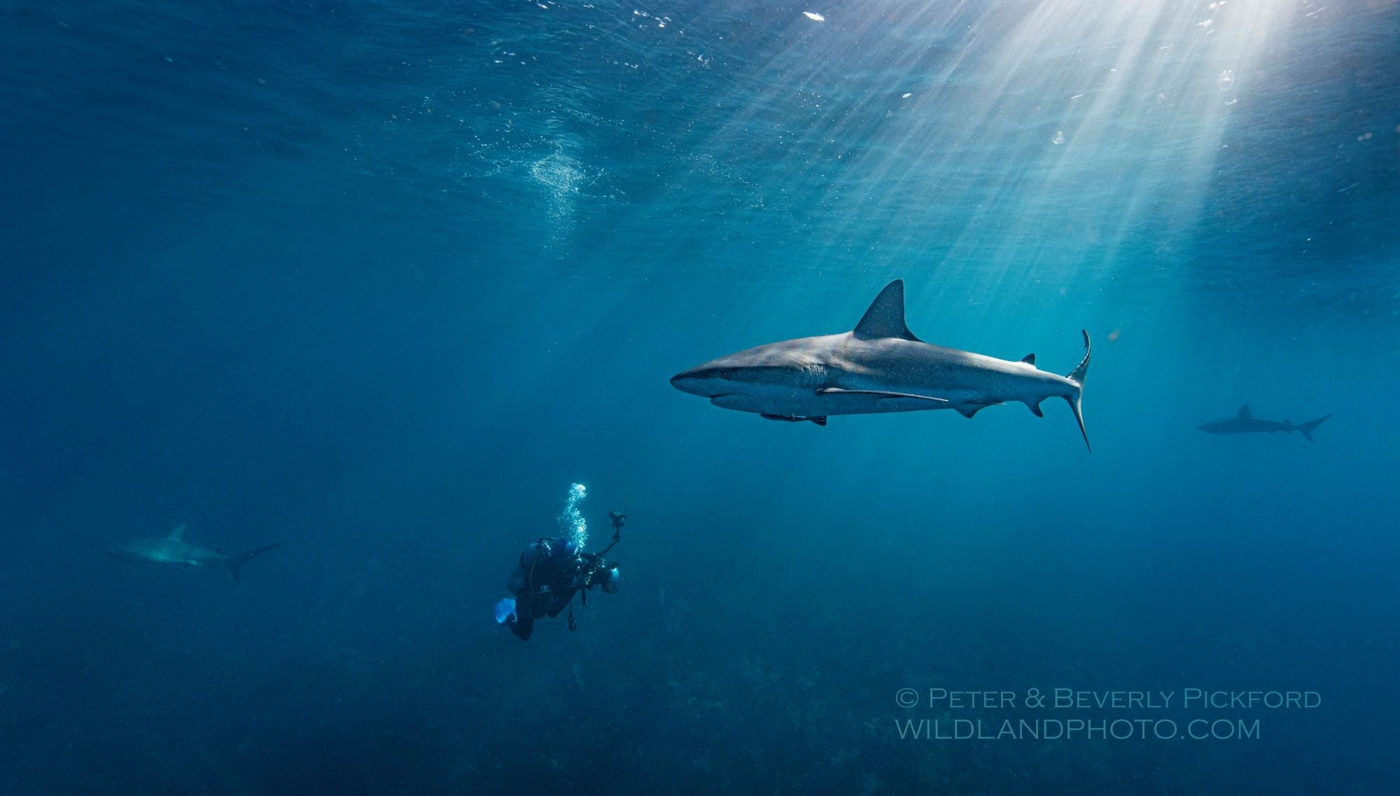 Jumping in the Deep End