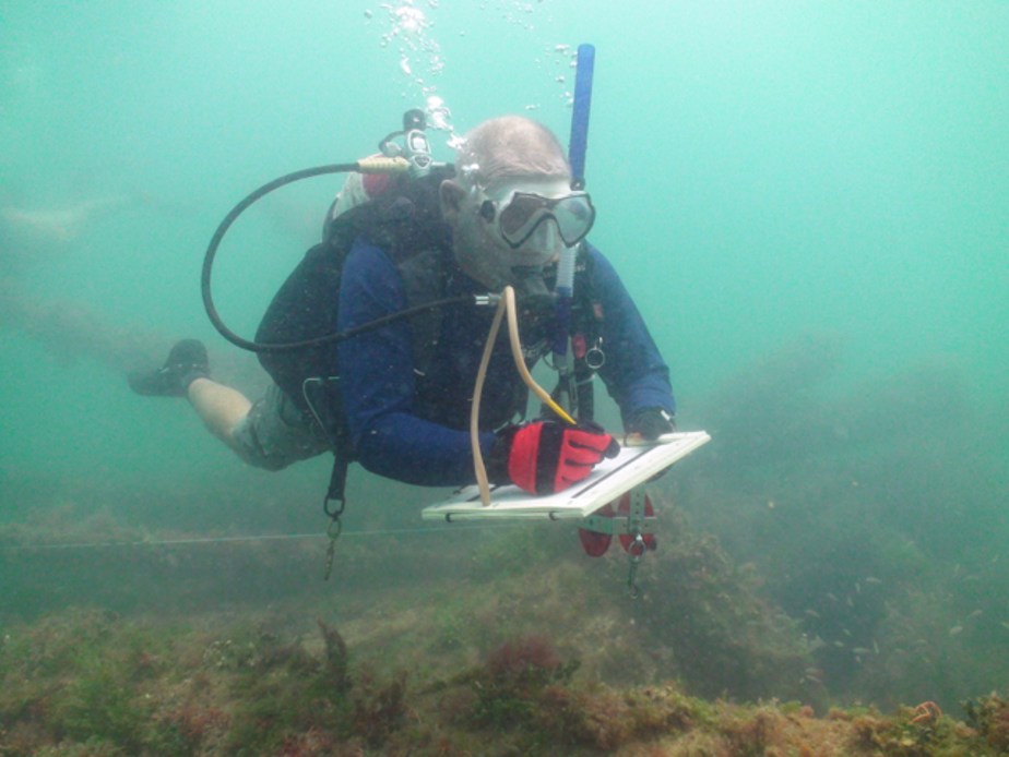 conduct underwater visual surveys by Roving Diver transect