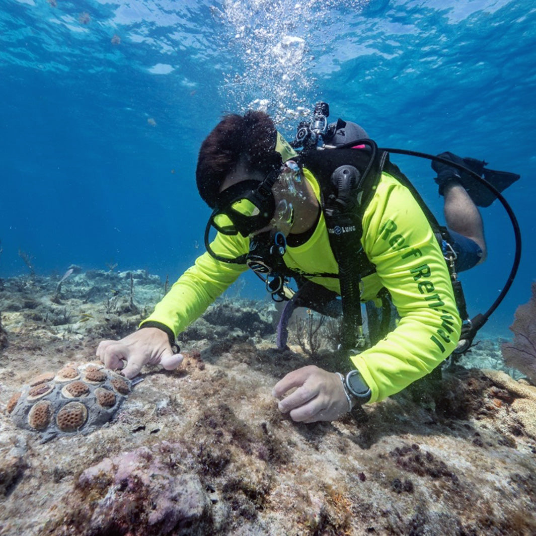 Reef Renewal USA Works to Restore Florida’s Reefs