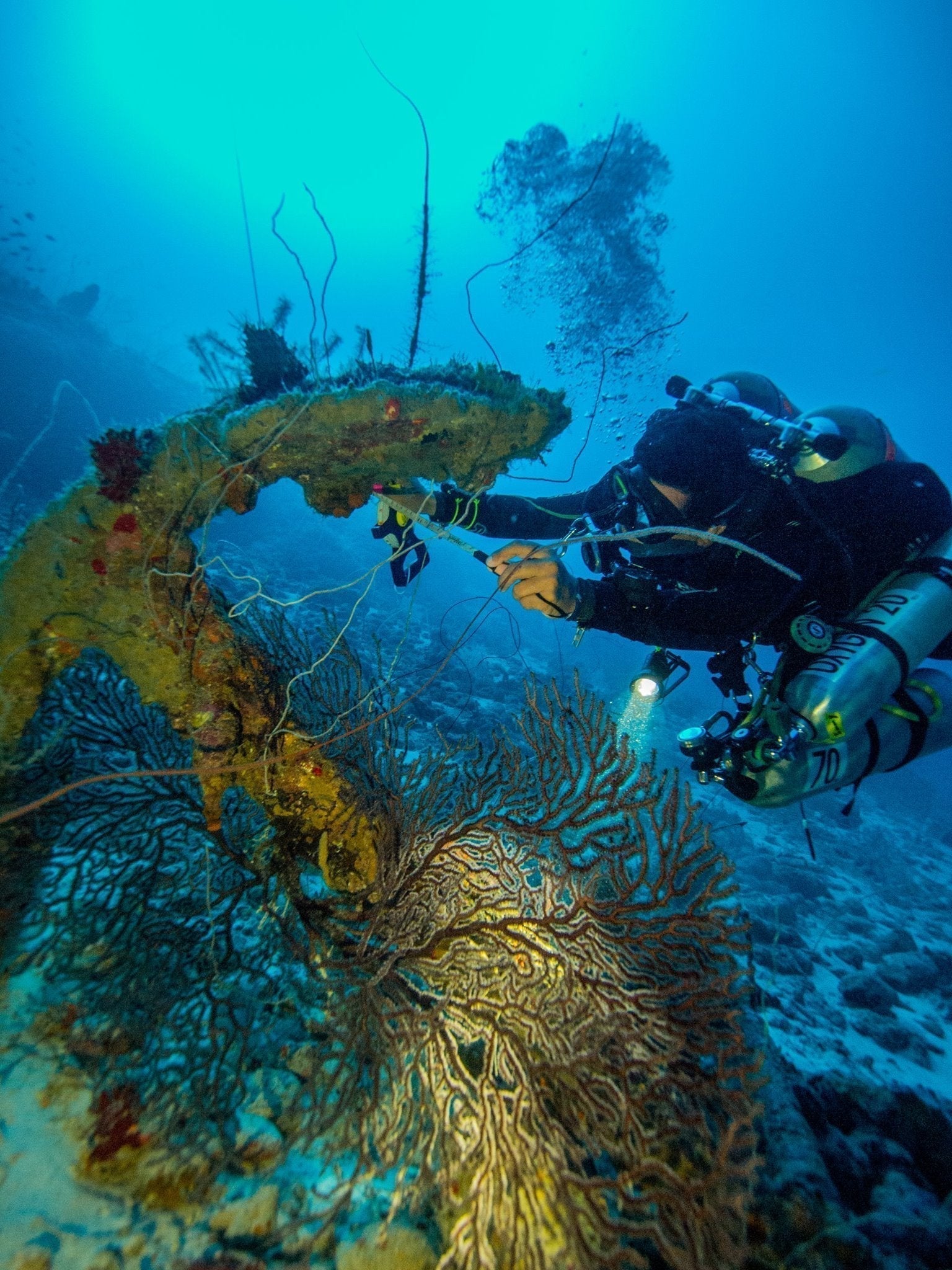 Tech Diving in Bonaire: The Caribbean’s Best-Kept Secret?