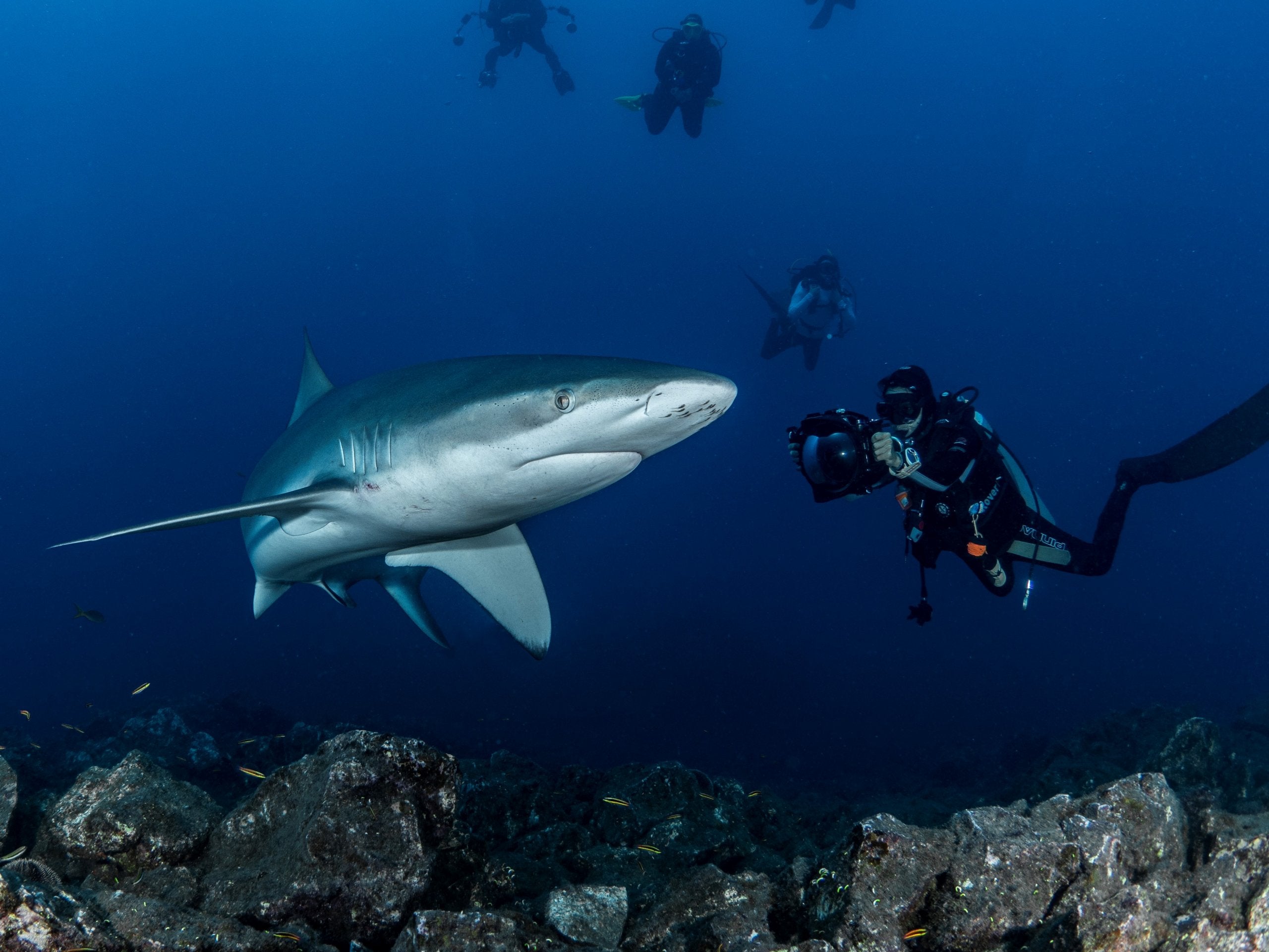 Protected Areas & The Challenges Facing The Natural World