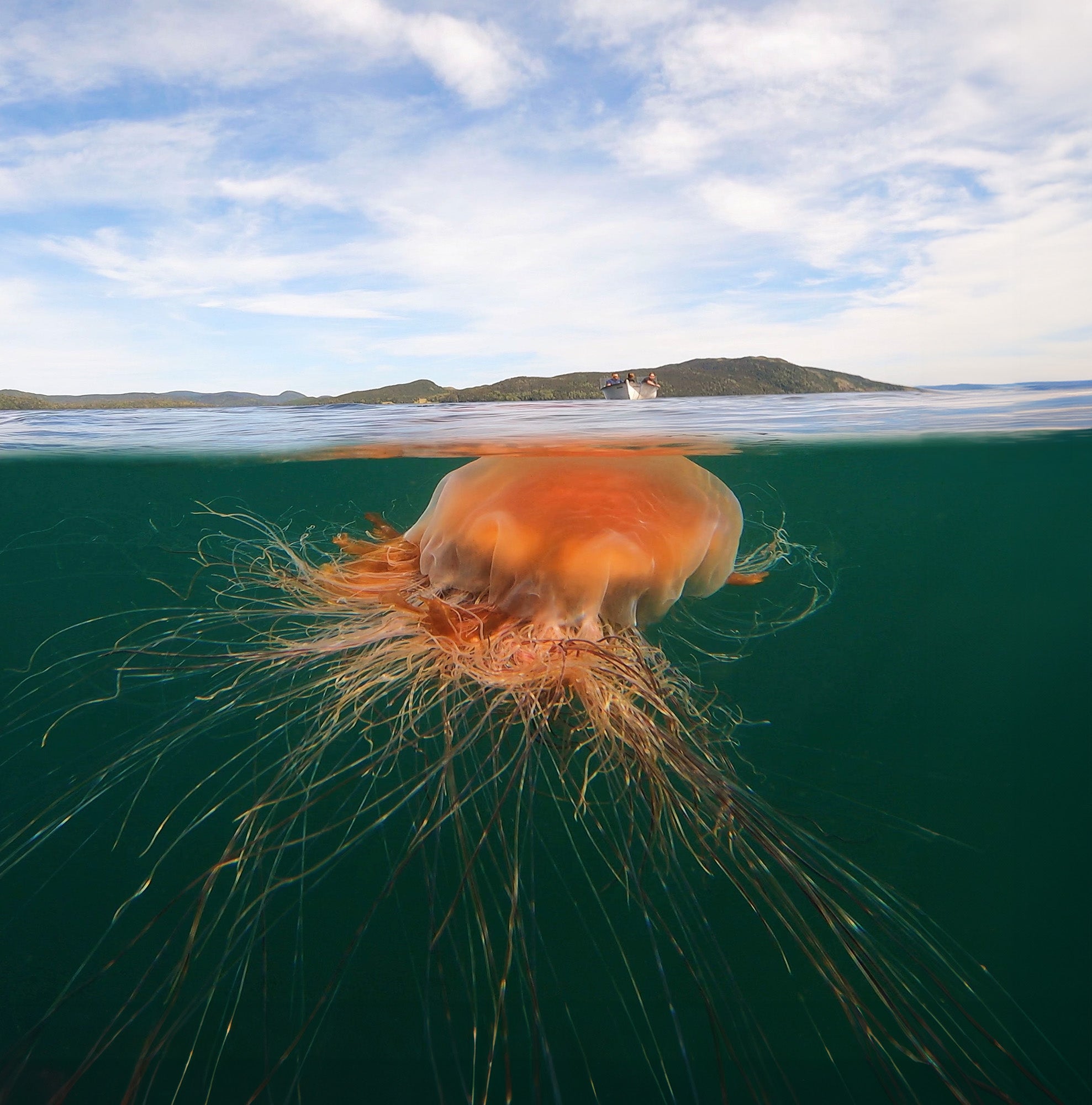 scuba diving canada's east coast