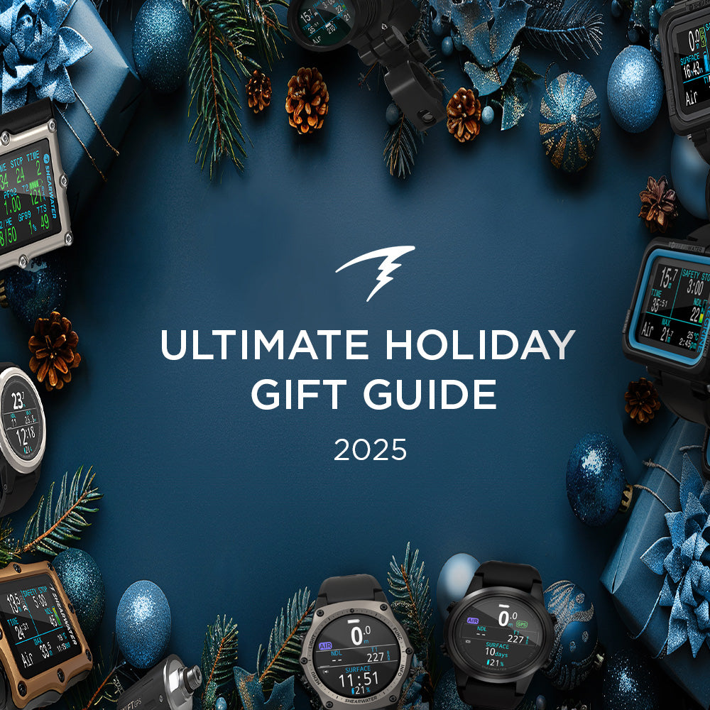 The Ultimate Holiday Gift Guide