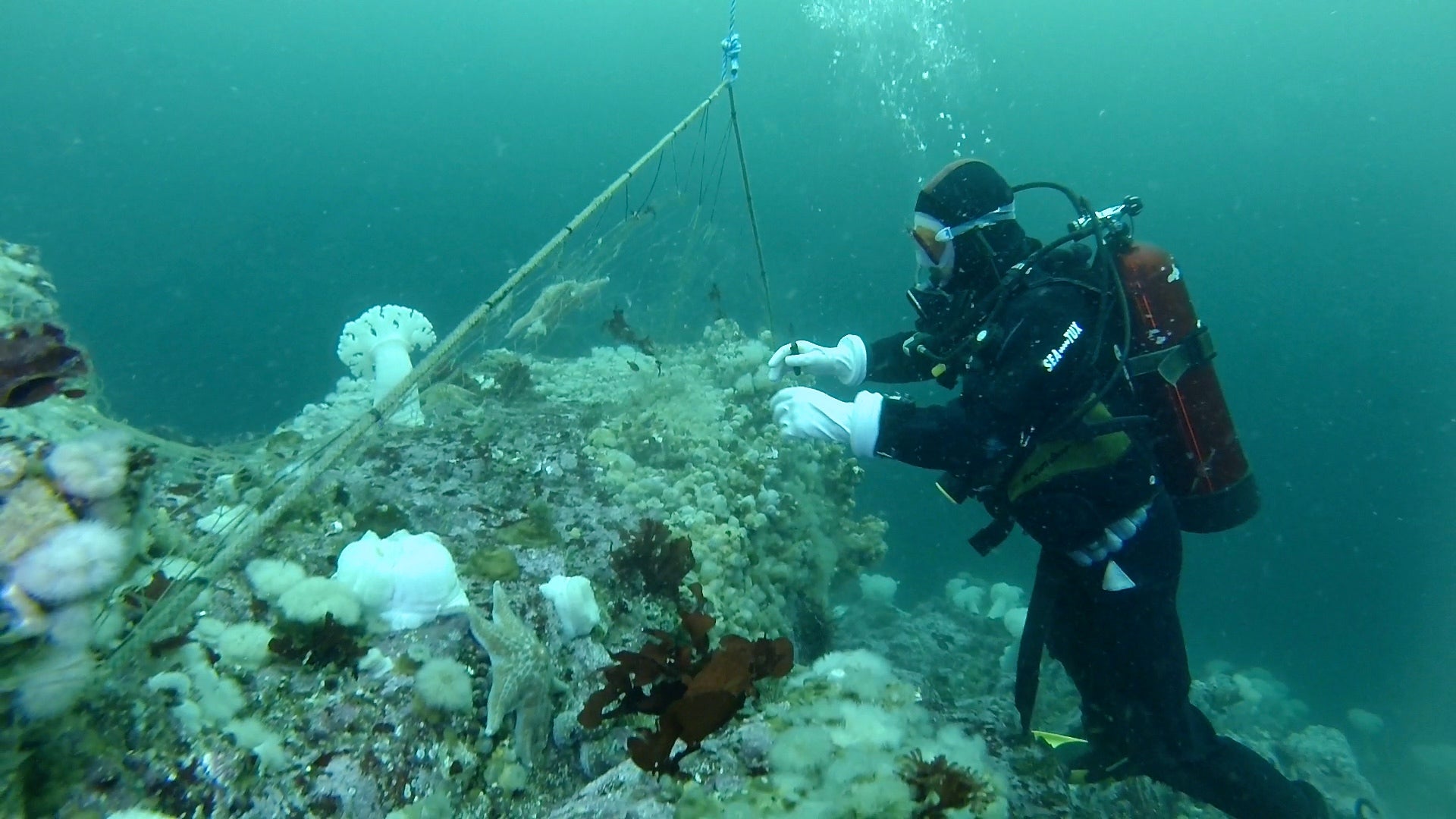 Dealing with Ghosts - Halloween with a Twist