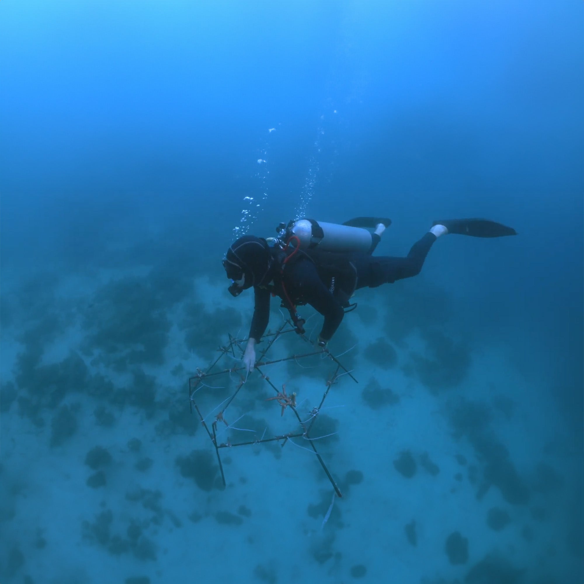 Ocean Gardener: Eco-Tourism in North Sulawesi