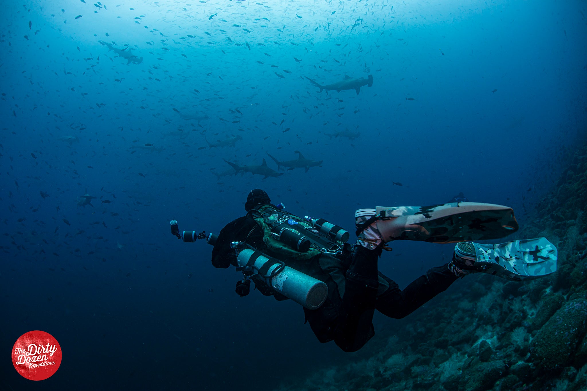 DIVING IN GALAPAGOS