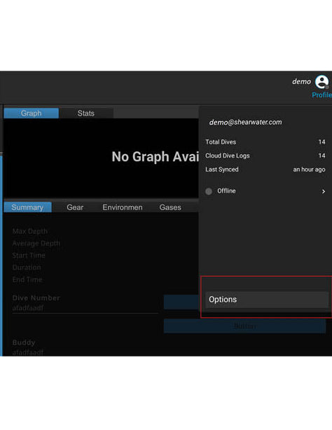 In the Profile menu, click the "Options" button.