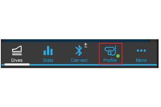 Launch the Shearwater Cloud app and Select the "Profile" tab.