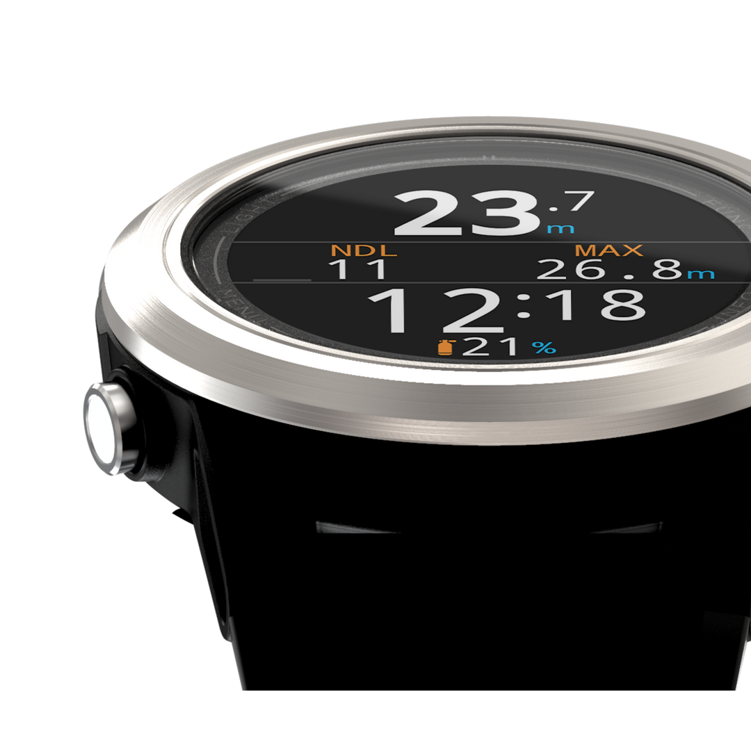 tern-shearwater-research-inc