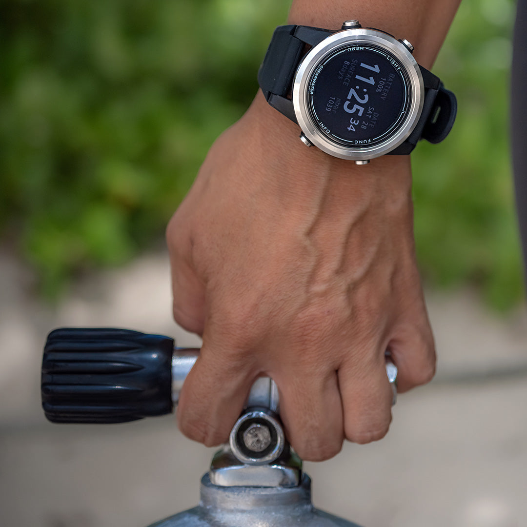 Tern on wrist diver holding scuba tank