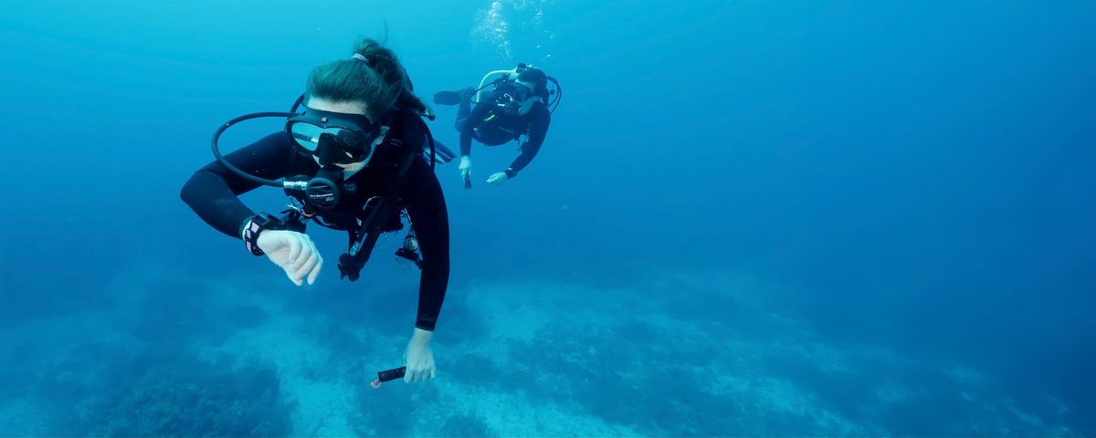All Shearwater Products – Shearwater Research Inc.