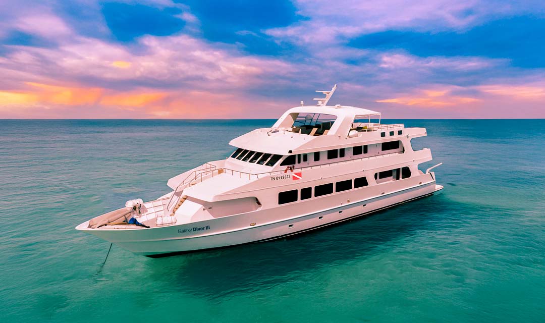 LIVEABOARD THE GALAXY DIVER III